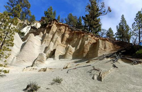 Beautiful 1 Bedroom Apartment with Mountain View - Foto 37