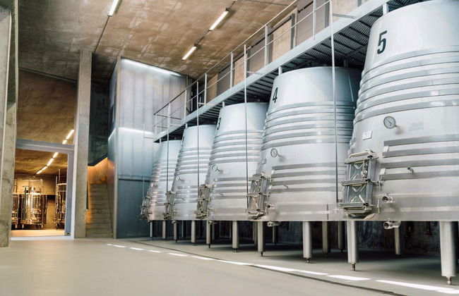 Tr3smano Winery Tour - Foto 6