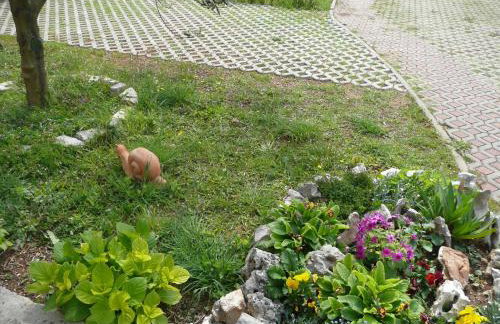 Villa Niceta - Foto 19