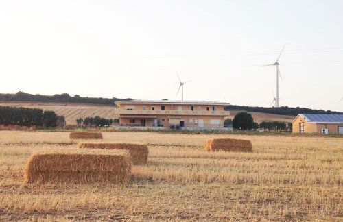 Agri B&B Terre Joniche - Foto 56