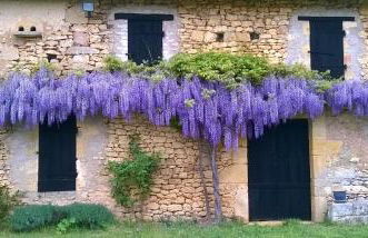 Domaine de Manilau - Foto 48