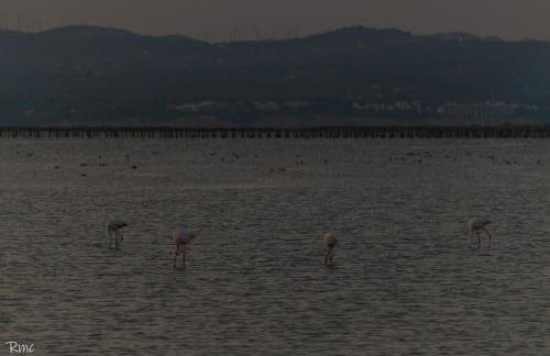 Casa Lo Pasteler - Foto 93