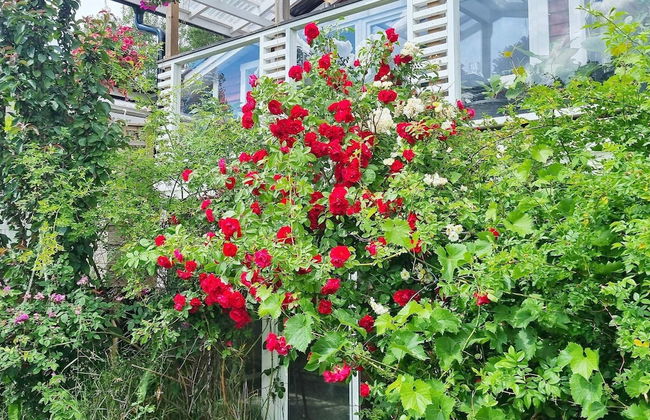 4 Person Holiday Home in Arsta Havsbad - Photo 11