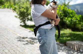 Sousa Horizonte - Louredo - Foto 70