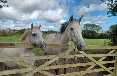 Rural Cornish Cottage - Photo 14