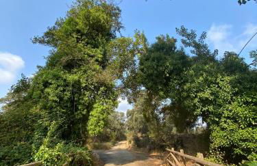 TIO TESORO - Foto 38