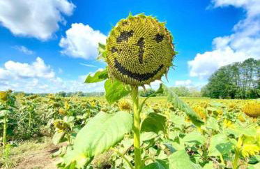 Radstation Menz - Foto 22