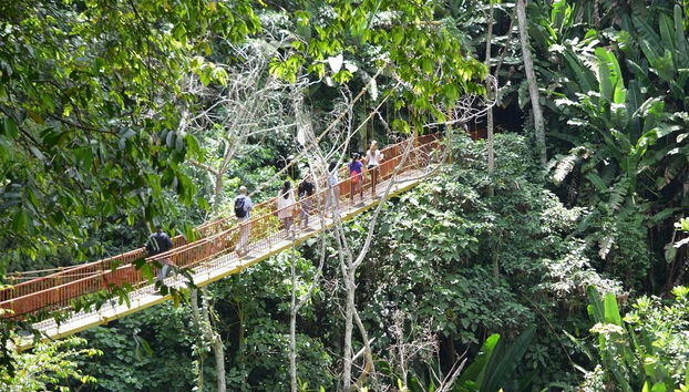 Quindíos Botanischer Garten - Halbtages-Tour - Foto 2