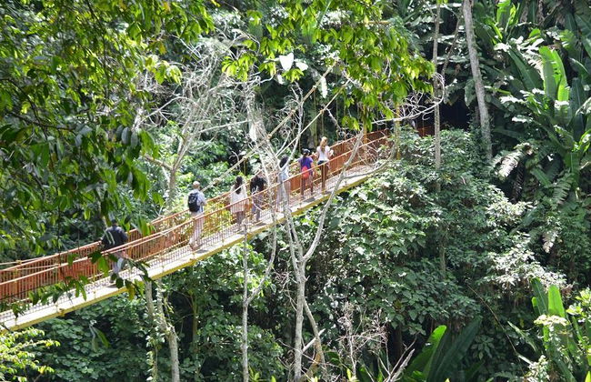Quindíos Botanischer Garten - Halbtages-Tour - Foto 2
