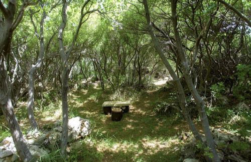 5-bedroom Country House in Crete - Olive Grove Retreat - Foto 15