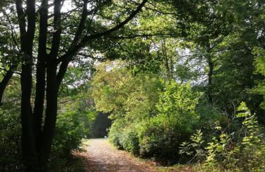 Ferienwohnungen an der Hufeland-Therme - Foto 29