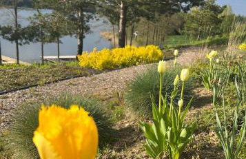 Nature Home Rybical - Foto 70