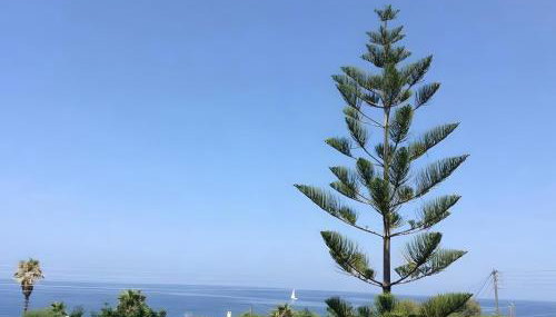 House with Sea View - Foto 1