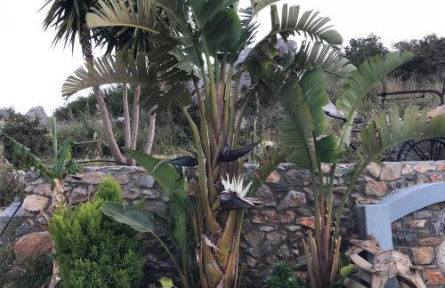 ISTRON BREEZE II - Foto 10