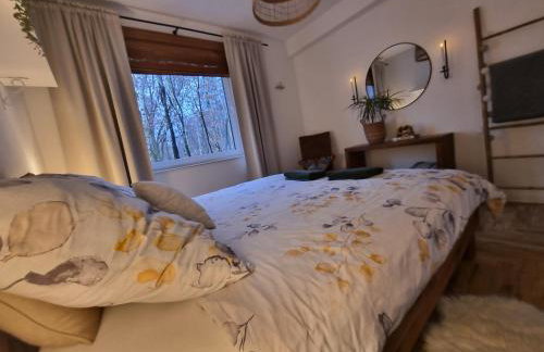 Apartament Podedworze - Foto 9