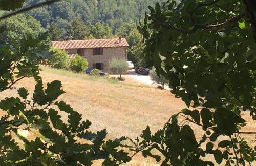 Agriturismo Casa Del Nonno - Foto 6