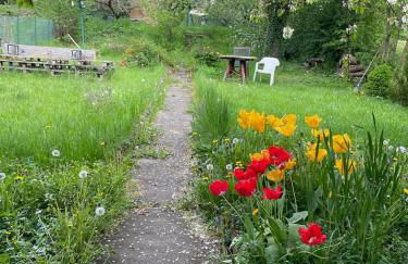 Gästehaus Linden -Zweibettzimmer - Photo 14