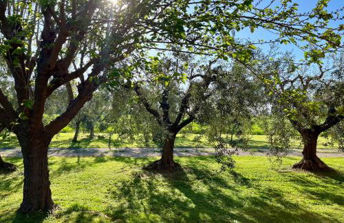 Agriturismo Valdo - Foto 52