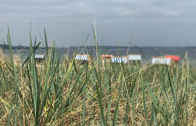 Juchmann Modern Retreat - Foto 17