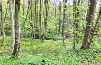 Tymek - domek - Foto 21