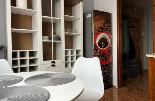 APARTAMENT CENTRUM - Foto 50