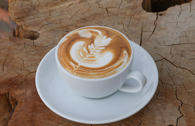 PIDA COFFEE FARM LODGE - Photo 50