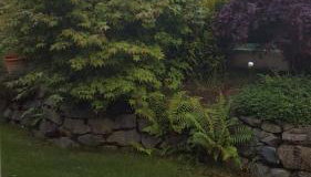 Ferienhaus Fee - Photo 4, Garden