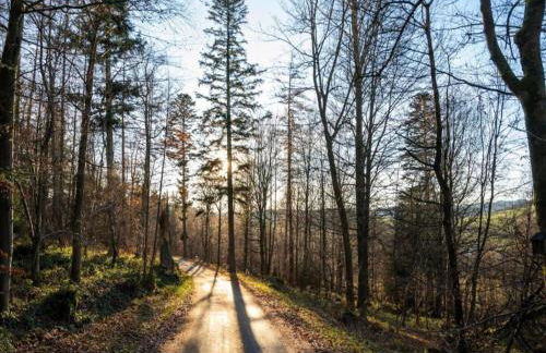 Ferienwohnung in Madfeld nahe Wald - Foto 27