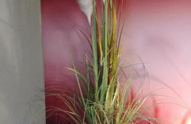 gapart - Apartments mit Küche - Foto 69