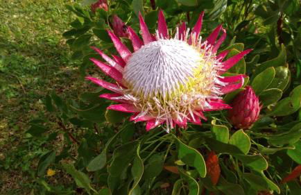 Quinta da Maria - Foto 51