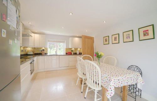 The Quackery - Foto 42