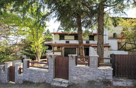 Dandy Villas Agoriani - Chalet Ivoni - Fireplace - Foto 26