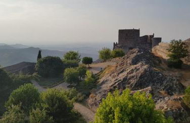 Casa do Pássaro - Photo 78