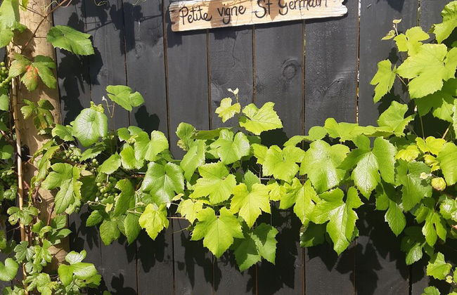 Harbour View Cottage Boutique B&b - Foto 43