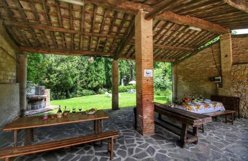 Bellavista farm of Quercini Maurizio - Foto 14