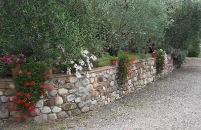 Chianti Holidays, Il Poggetto da Alfina - Foto 41
