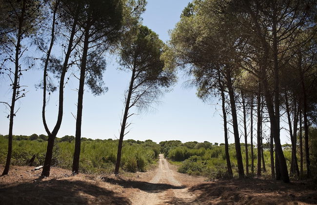 Masseria Macchia & Relais San Pio - Foto 33