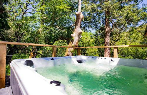 Tresillian Lodge Waterfront, Forest, Hot tub,Sauna - Foto 27