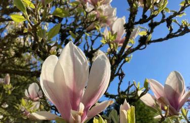 Suiten im alten Berghotel Antonia - Photo 25