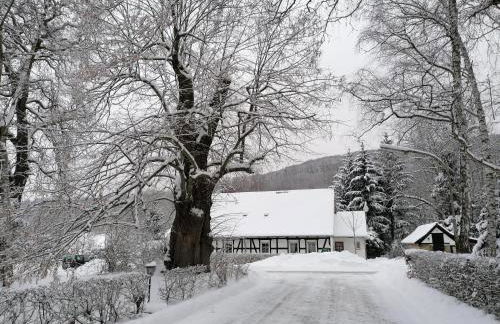 Ferienwohnung Das Fuchsrevier - Foto 35
