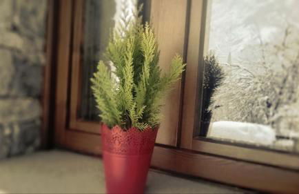 Residence Casa dei Fiori - Foto 8