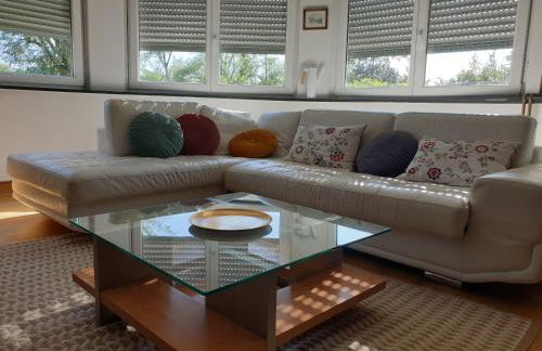 La Tour de l'Ill - Foto 2