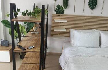 Φρίντα στο κέντρο της Ορεστιάδας - Foto 27