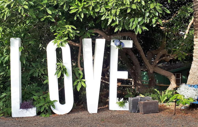 Finca La Principal - Foto 37