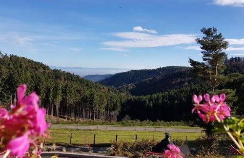 LES GÎTES D'ADELSPACH - Gîtes 4 étoiles Nature & Spa - Foto 6