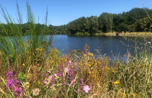 Roulotte La Chouette des Granges - Foto 18