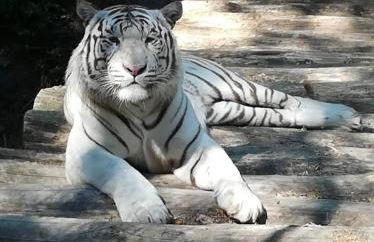 Cosy rental - Normandy - Foto 27