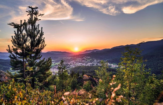 Ferienwohnung in Bodenmais am Grossen Arber - Foto 18