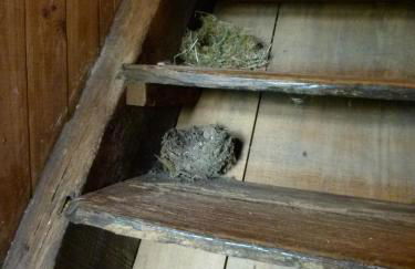 Gites De L'Etang Des Noues - Photo 33