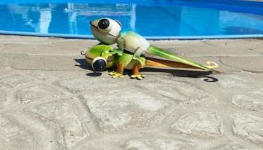 Storchennest - Foto 4